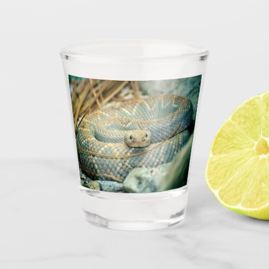 Rattlesnake Shot Glas (Voorkant)