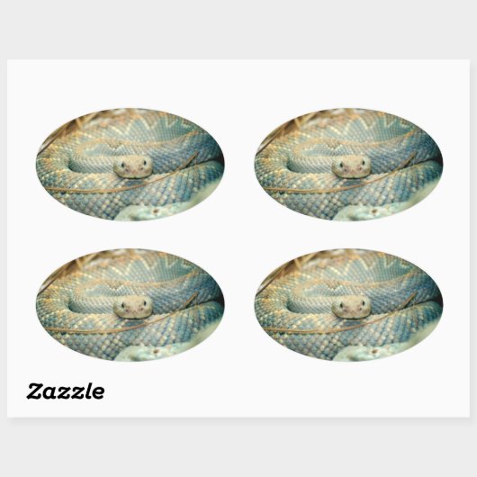 Rattlesnake Stickers (Vel)