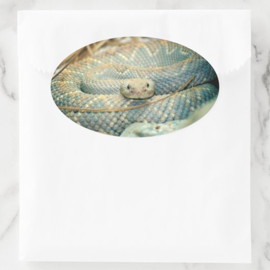 Rattlesnake Stickers (Tas)