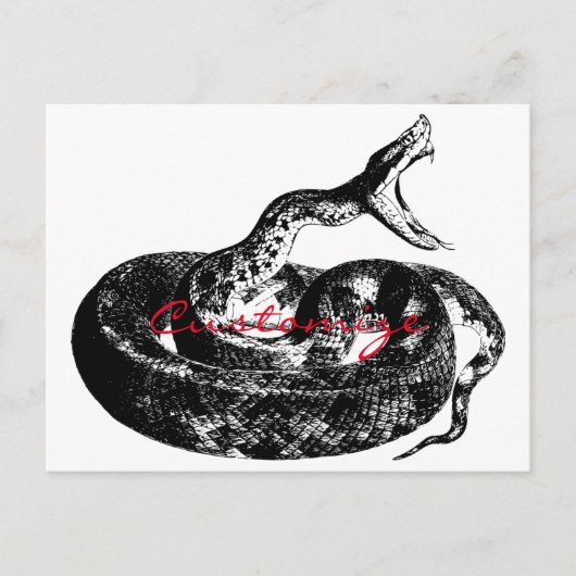 Rattlesnake Thunder_Cove Briefkaart (Voorkant)