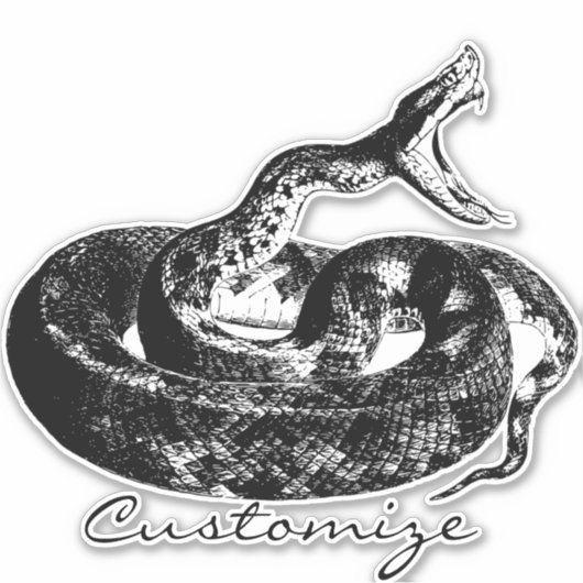 Rattlesnake Thunder_Cove Sticker (Voorkant)