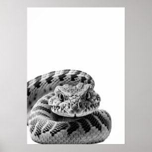 Rattlesnake Woodland Modern Portret zwart wit Poster