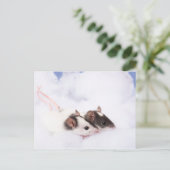 Ratty Briefkaart (Staand voorkant)