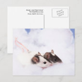 Ratty Briefkaart (Voorkant / Achterkant)