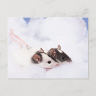 Ratty Briefkaart