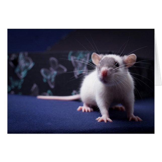 Ratty card (Voorkant Horizontaal)