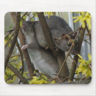 Ratty cuddles Mousepad Muismat