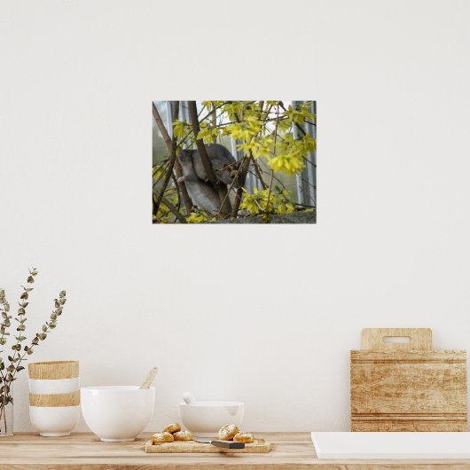 Ratty Cuddles Print (Keuken)