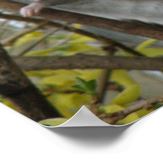 Ratty Cuddles Print (Hoek)