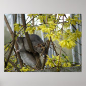 Ratty Cuddles Print (Voorkant)