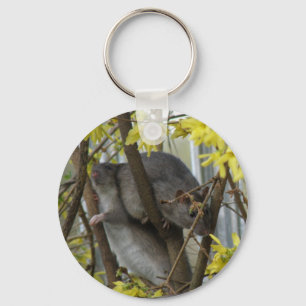 Ratty cuddles Sleutelhanger