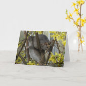 Ratty cuddles Wenskaart Kaart (Gele Bloem)