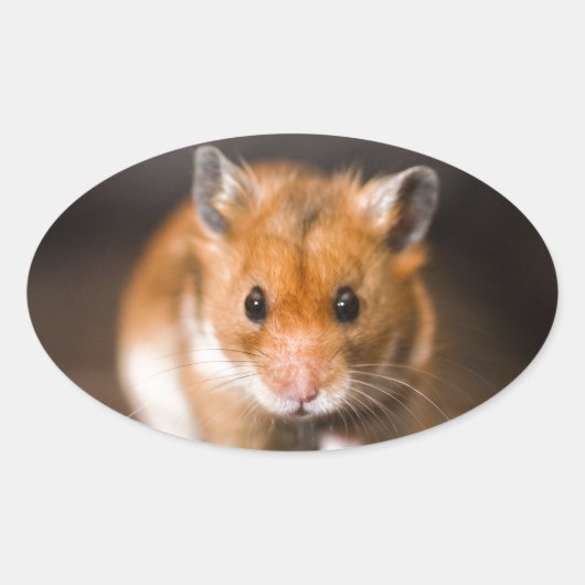 Ratty de hamster ovale sticker (Voorkant)