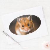 Ratty de hamster ovale sticker (Envelop)