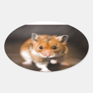 Ratty de hamster ovale sticker