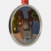 Ratty Reindeer Metalen Ornament (Rechts)
