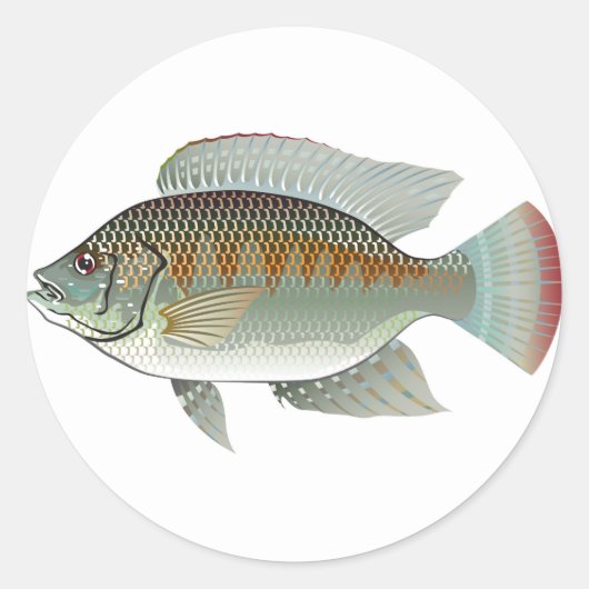 Rauw zeevoedsel Tilapia Vector Ronde Sticker (Voorkant)