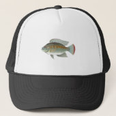 Rauw zeevoedsel Tilapia Vector Trucker Pet (Voorkant)