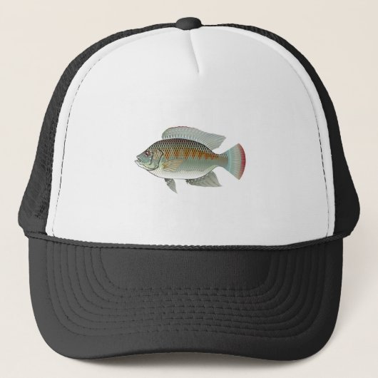 Rauw zeevoedsel Tilapia Vector Trucker Pet (Voorkant)
