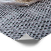 Rauwe eieren, knoflook en specerijen in de keuken poster (Hoek)