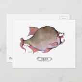 Rauwe vis, tony fernandes briefkaart (Voorkant / Achterkant)
