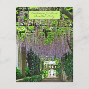 RAVELLO, ITALIË/CIMBRONE GARDENS/KASKADERWISTERIA BRIEFKAART