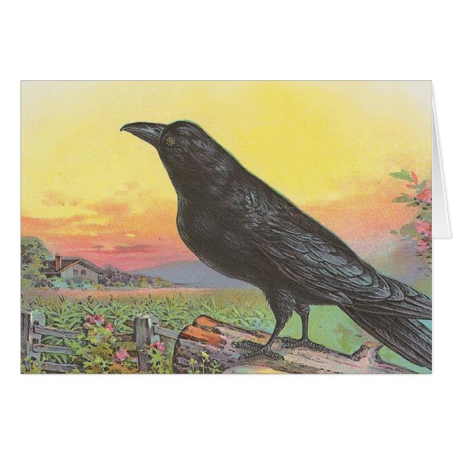 Raven (Voorkant Horizontaal)