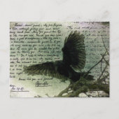 Raven 3 briefkaart (Voorkant)