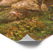 Raven 42 van James Dietz Poster (Hoek)