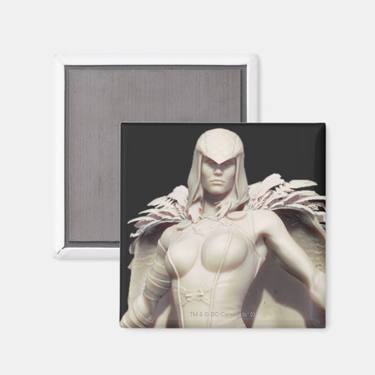 Raven Alternate Magneet (Voorkant / Achterkant)