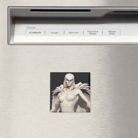 Raven Alternate Magneet (Insitu (Vaatwasser))