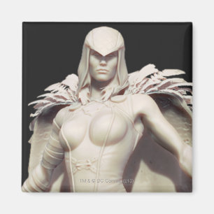 Raven Alternate Magneet