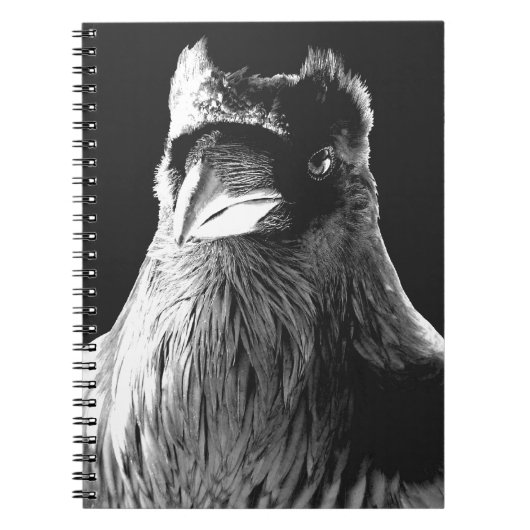 Raven Art Notitieboek Crow Art Journal Book (Voorkant)