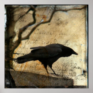 Raven Art Poster