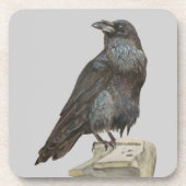 Raven Bier Onderzetter (Voorkant)