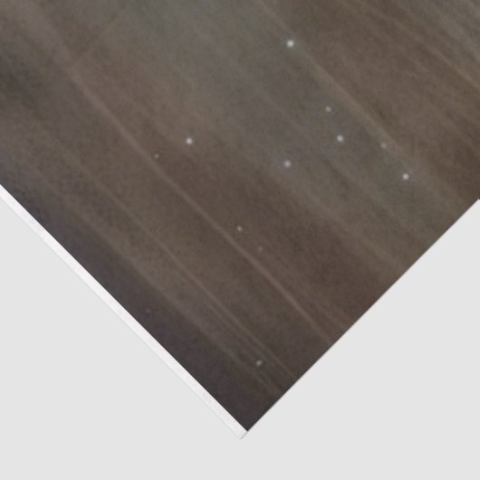 Raven Black Bird Crow Decoupage papier (Detail)