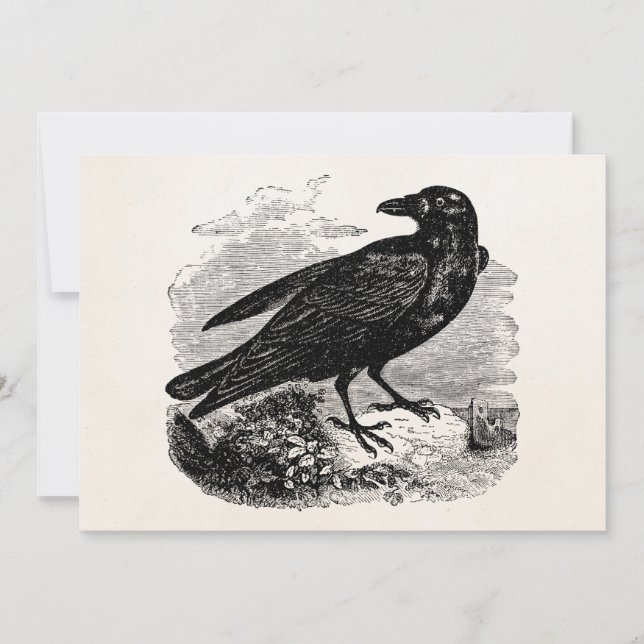  Raven Black Bird Crow Persoonlijke vogels (Voorkant)