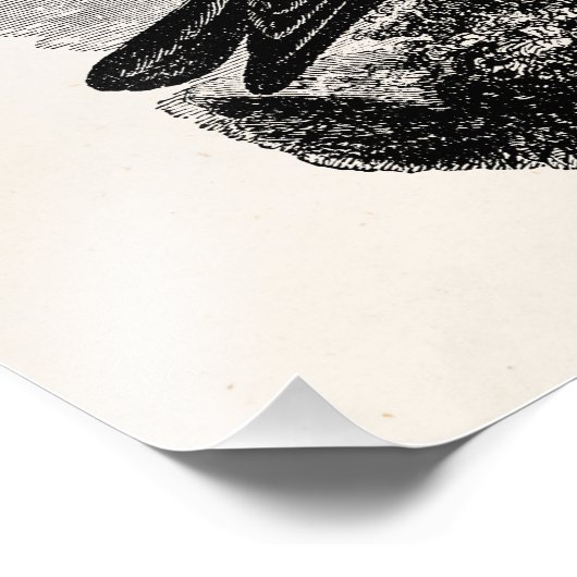  Raven Black Bird Crow Persoonlijke vogels Foto Afdruk (Hoek)