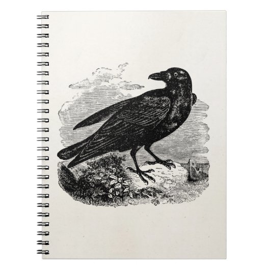  Raven Black Bird Crow Persoonlijke vogels Notitieboek (Voorkant)