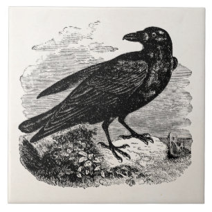  Raven Black Bird Crow Persoonlijke vogels Tegeltje