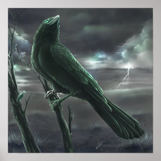 Raven bot poster (Voorkant)