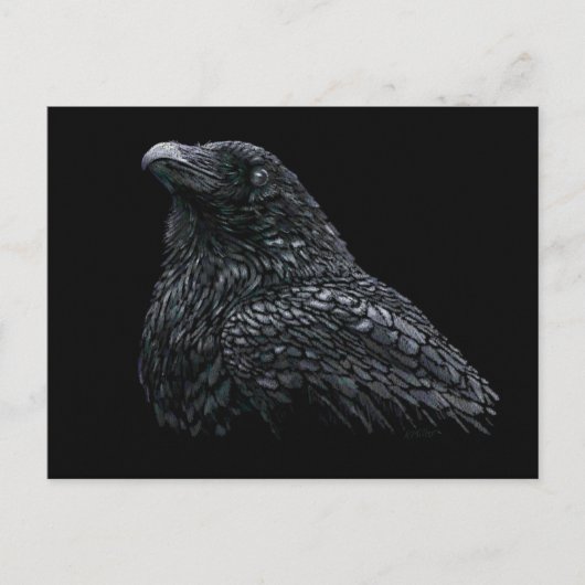 Raven Briefkaart (Voorkant)