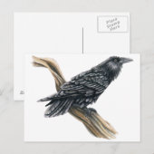 Raven Briefkaart (Voorkant / Achterkant)