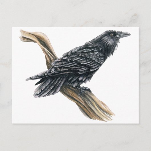 Raven Briefkaart (Voorkant)