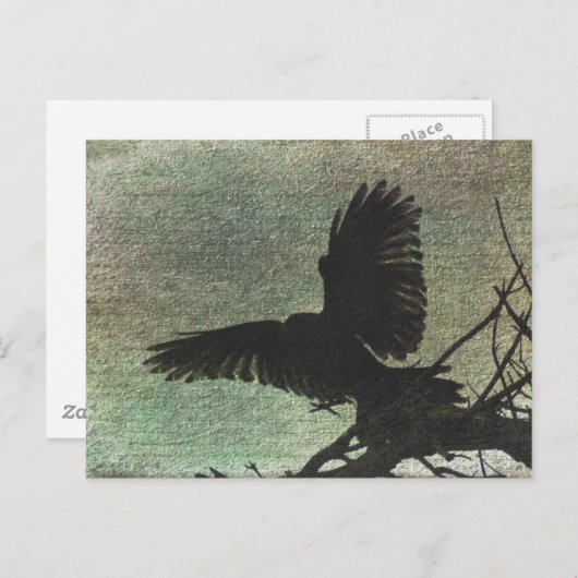 Raven Briefkaart (Voorkant / Achterkant)