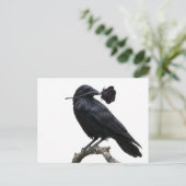 Raven Briefkaart (Staand voorkant)