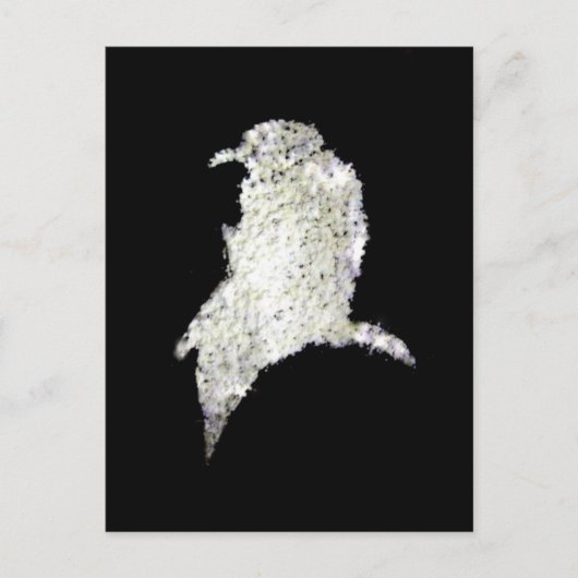 Raven Briefkaart (Voorkant)