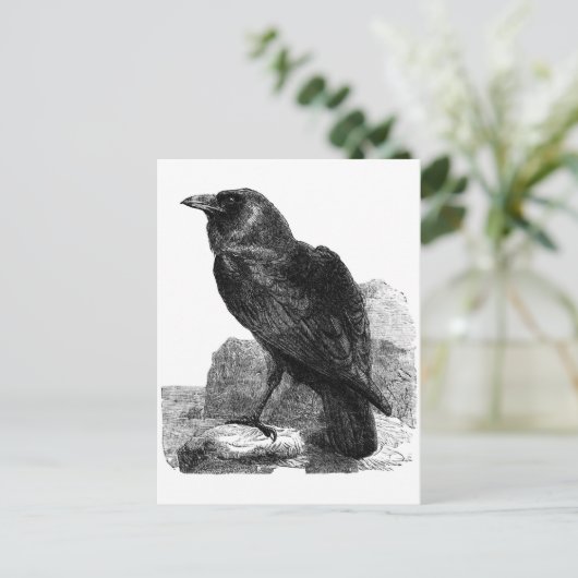Raven briefkaart (Staand voorkant)