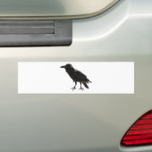 Raven Bumpersticker (Op auto)