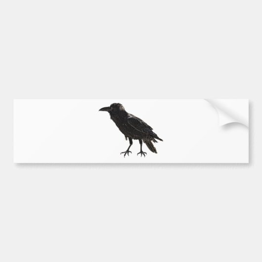 Raven Bumpersticker (Voorkant)